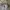 Dress Tutu Anak Perempuan / Baju Anak Perempuan