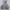 90s Blank Russell Athletic Hoodie Grey  photo 1