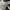LOUIS VUITTON TRAINER MONOGRAM DENIM GREEN WHITE , LOUIS VUI photo 7