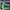 LOUIS VUITTON TRAINER MONOGRAM DENIM GREEN WHITE , LOUIS VUI photo 5