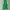 Nike Sportswear Jersey Pria green photo 2
