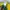 Nike Sportswear Jersey Pria green photo 7