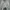 WHO.A.U Skater Sportswear Hoody Pria gray photo 1