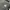 Carhartt Vintage Bag Pria gray photo 5