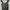 Oneset photo 3