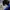 Chase Nascar Sportswear Windbreaker Pria white black blue photo 5