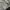 Zipper Hoodie Adidas Trifoil Sherpa photo 8