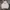 Hoodie Discovery photo 1