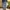 celana jorts mrd photo 4