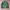 Stussy Thermo Lite Camo Jacket Minus