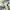 ZARA gradient printed straight fit jeans photo 3