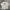 Vtg CHASE Nascar Chicagoland Phoenix Arizona 2010 photo 2
