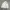 Scoop Casual Harrington Reversible Jacket photo 3