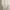 Outer vintage photo 1