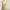UNIQLO X TOMAS MAIER Light Brown Tie Front Tanktop Bra photo 2