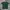 Carhartt Green Army Pocket Authentic Tee