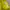 ZARA Lolita Casual Blouse Wanita yellow photo 3