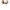 Dior Luxury Heels Wanita tan photo 3