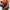 Salomon ACS Waist Pack 3 photo 6