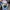 Air Jordan 1 Low True Blue Navy photo 2