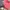 Polo Ralph Lauren Luxury Minimalist Sweater Wanita pink photo 2