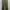 Gramicci Tapered G Pants photo 6