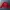 Supreme Streetwear Bomber jacket Pria red photo 1
