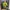 Kodak vintage 90s work jacket photo 3