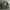 Alpha Industries Streetwear Parka Pria green photo 2