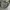 Alpha Industries Streetwear Parka Pria green photo 3