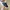 [Termurah] Sepatu Running - Asics Magic Speed Full Black