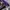 AC/DC Hoody Pria purple black photo 5