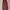 Sweatpands Red