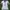Umbro Vintage Jersey Pria White