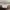 Gucci Syvie White Leather medium Sling bag Crossbody photo 2