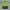 Jeonbuk Hyundai Home 2017 Original size XXS photo 1