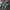 Vintage Sportswear T-shirt Pria green red photo 2