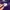 Champion Streetwear Hoody Pria purple photo 4