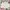 Rok Celana Colorbox Skort Cream
