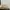 Hush Puppies Loafers leather adrian tessel photo 7