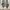 hush puppies dawson laces boots shoes photo 3