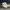 Nike SB blazer mid photon dust photo 2