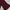 Maroon Long Outer by AILENE photo 3