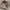 Kutir relaxed cargo longpans khakis, Baggy Loose Fit photo 5