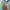 Hoka One One Rocket X Scuba Blue Running Shoes photo 6