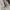 Rothco Military M-65 Field Jacket  photo 5