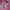 Tommy Hilfiger Streetwear Casual Kids pink photo 3
