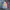 Pancoat Casual Sweatshirt Pria red gray blue photo 1