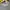 Acne Studios College Face Crewneck Size photo 2