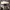 Adidas low bascet clasiic  photo 3